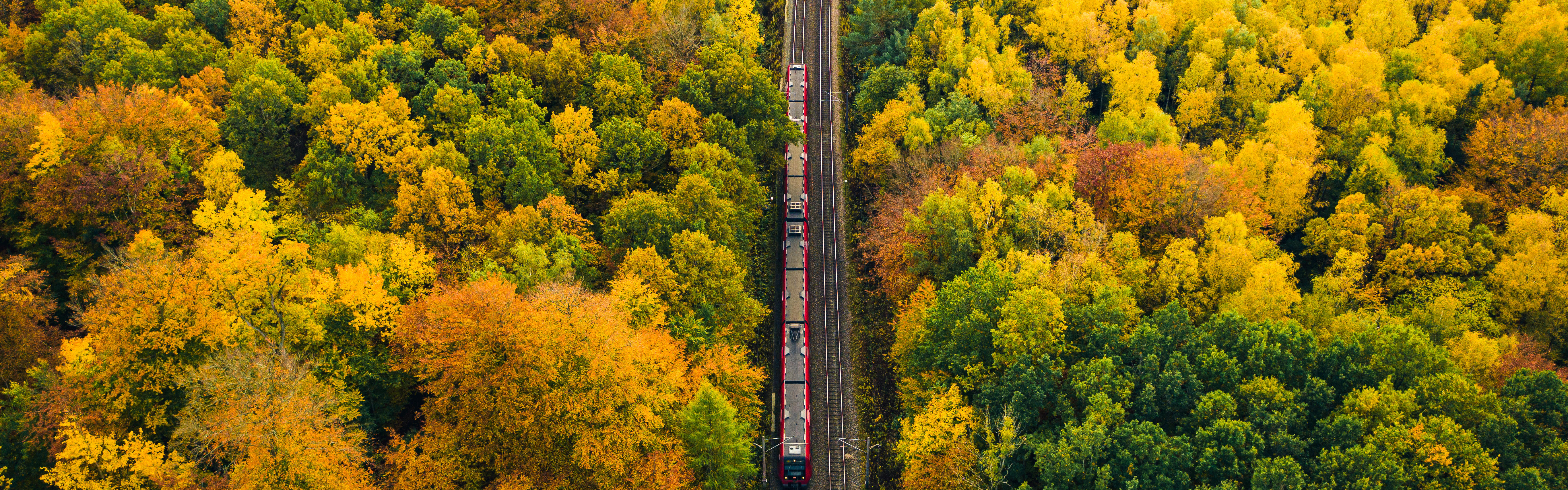 Aus der Vogelperspektive schaut man auf einen Herbstwald, durch die Mitte gehen Gleise, auf denen eine Bahn fährt.
