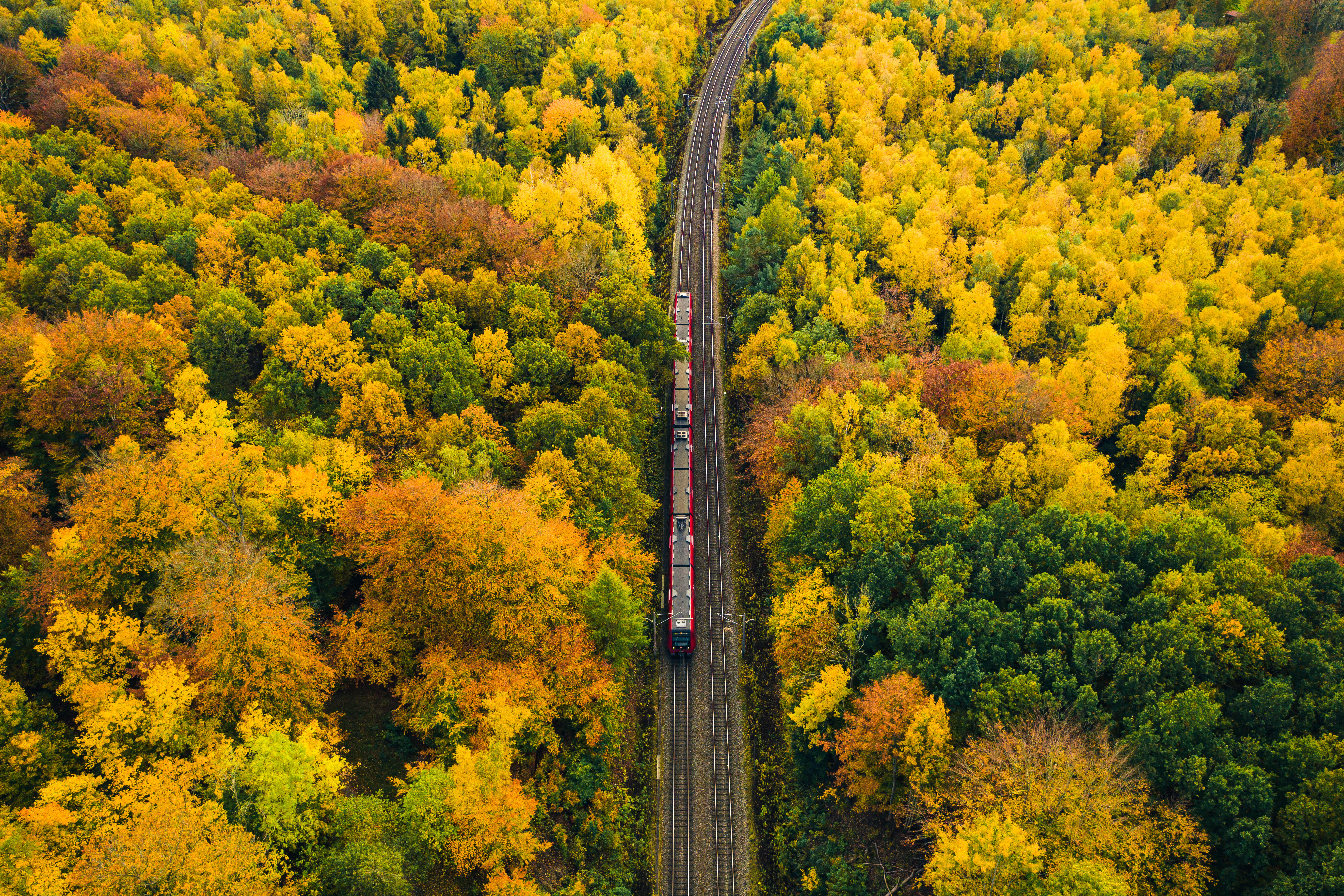 Aus der Vogelperspektive schaut man auf einen Herbstwald, durch die Mitte gehen Gleise, auf denen eine Bahn fährt.