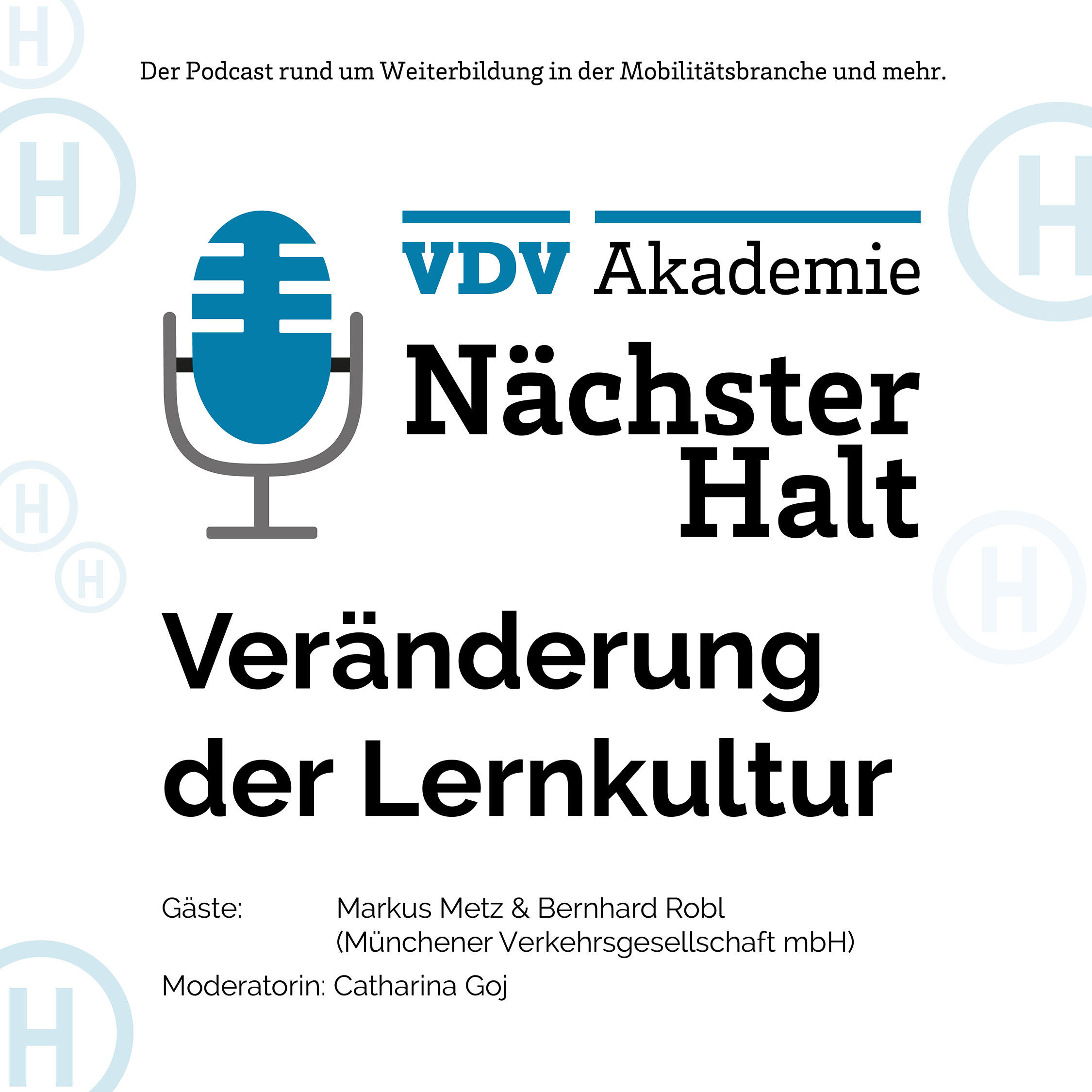 Cover Podcastfolge 47 von "Nächster Halt", Titel: Veränderung der Lernkultur, Gäste: Markus Metz und Bernhard Robl, Moderation: Catharina Goj