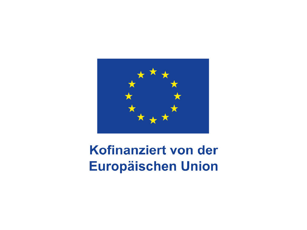 Logo Foerderung Europäische Kommission