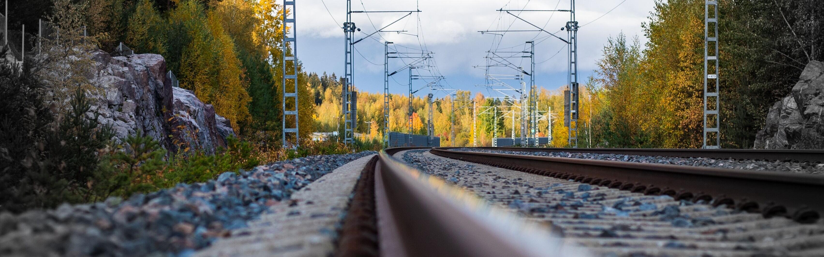 Bodennahe Aufnahme oberhalb des Oberbaus einer intakten Eisenbahntrasse, umgeben von Bäumen und Büschen.