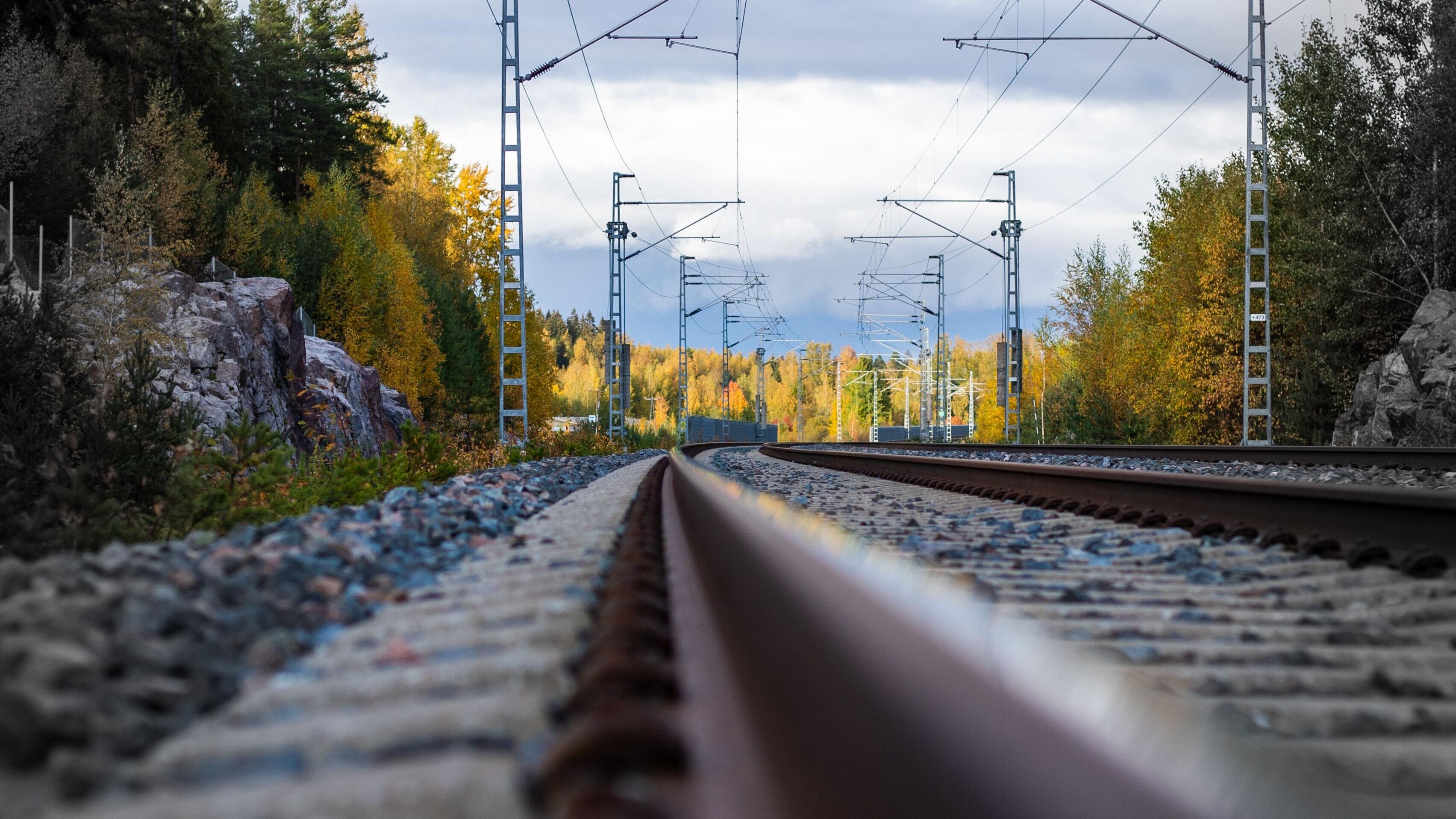 Bodennahe Aufnahme oberhalb des Oberbaus einer intakten Eisenbahntrasse, umgeben von Bäumen und Büschen.