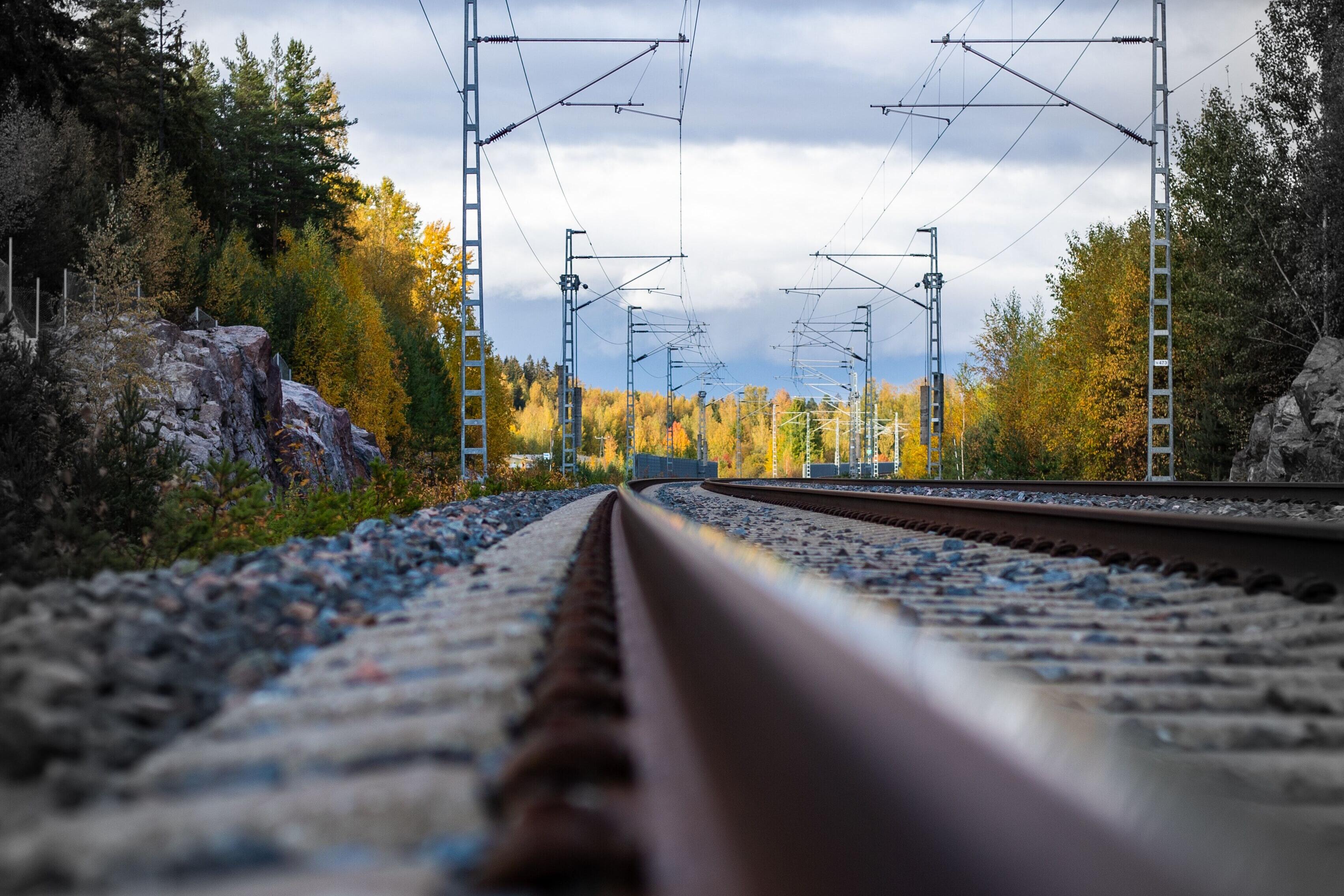 Bodennahe Aufnahme oberhalb des Oberbaus einer intakten Eisenbahntrasse, umgeben von Bäumen und Büschen.